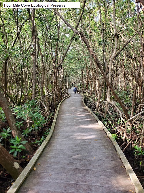 Four Mile Cove Ecological Preserve