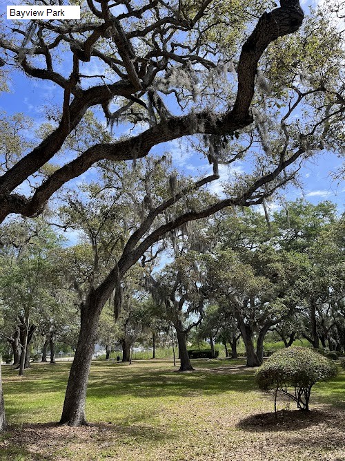 Bayview Park
