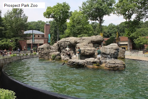 Prospect Park Zoo