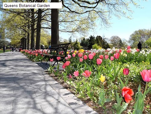 Queens Botanical Garden